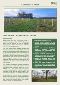 Brochure for Chaldicotts Farm's Woodland Management Plans. Features a tree plantation image, text on background and management objectives, and the F&W Forestry logo. Green accents and sections provide information on improving woodland conditions.