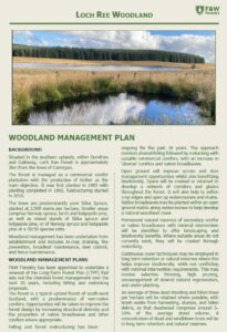 A page from a woodland management plan brochure titled Loch Ree Woodland. The layout includes background information, objectives, and woodland management plan details with green borders and a photo of a forested landscape at the top.